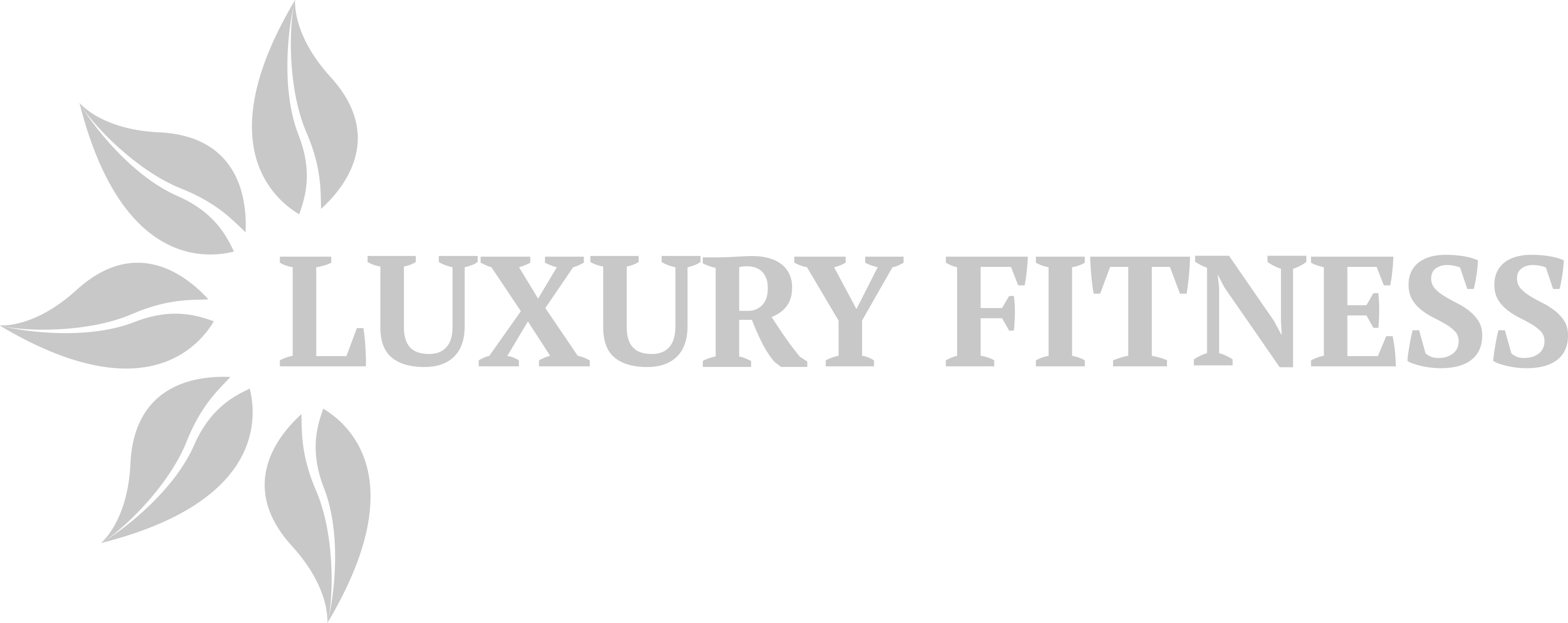 Luxury Fitness